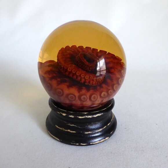 RED TIGER OCTOPUS TENTACLE GLASS GLOBE WET SPECIMEN PROFESSIONAL TAXIDERMY - Picture 2 of 11
